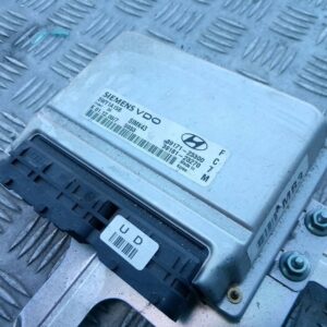 Hyundai Tucson JM 2007 Sterownik / Moduł ECU 2000cm3 3917123300