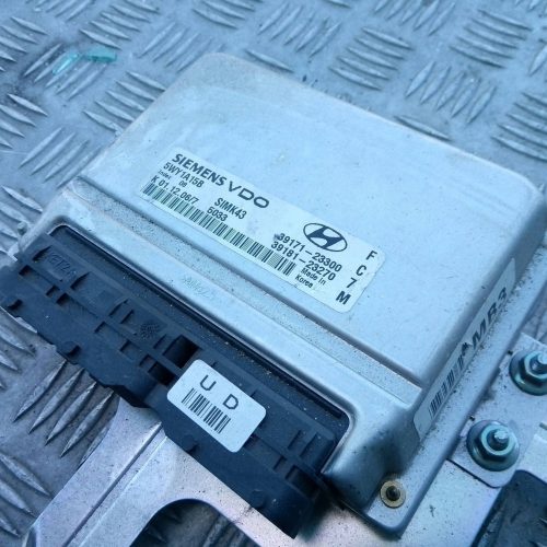 Hyundai Tucson JM 2007 Sterownik / Moduł ECU 2000cm3 3917123300