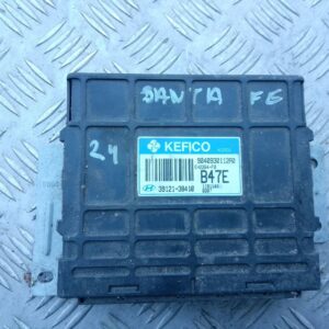 Hyundai Santa Fe 2002 Sterownik / Moduł ECU